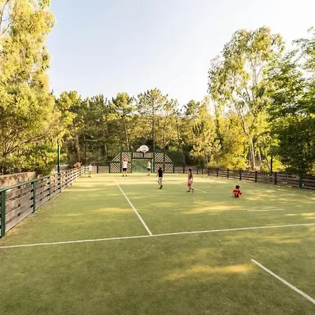 Aux Restanques Du Golfe De St Tropez - Maeva - Spacieux Vue 2 Pieces 5 Personnes - Prestige - Super Mae-2158 아파트 그리모